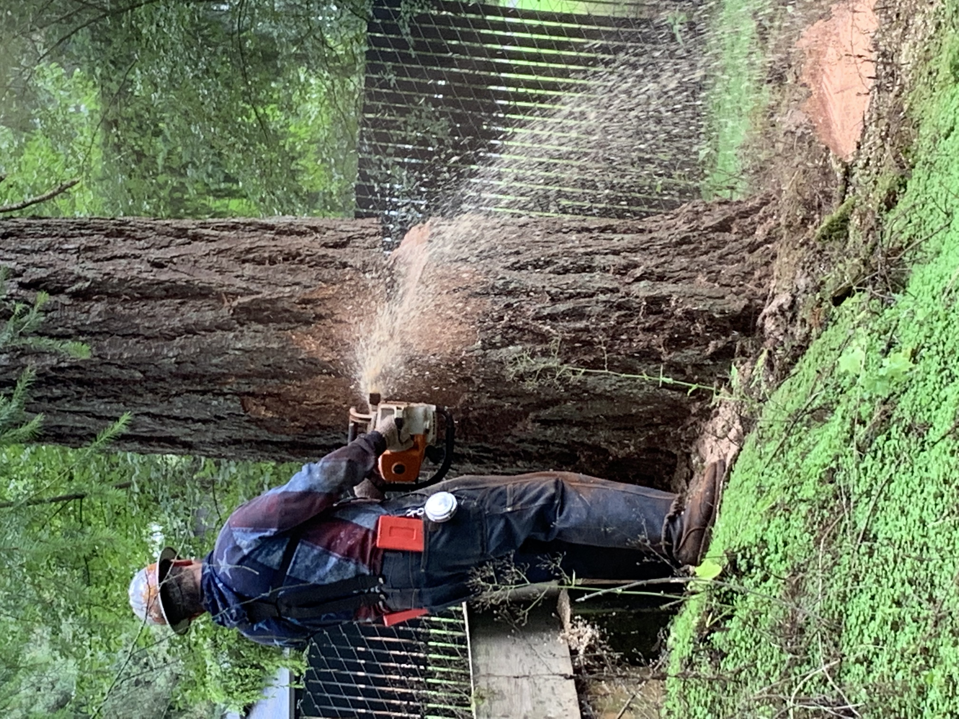 Nate's Logging LLC: Service Image-12