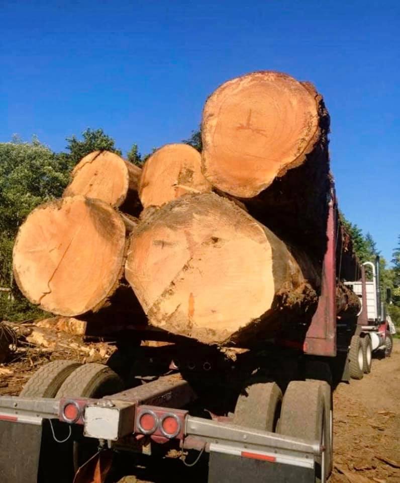 Nate's Logging LLC: Service Image-13 Nate's Logging LLC: Service Image-13