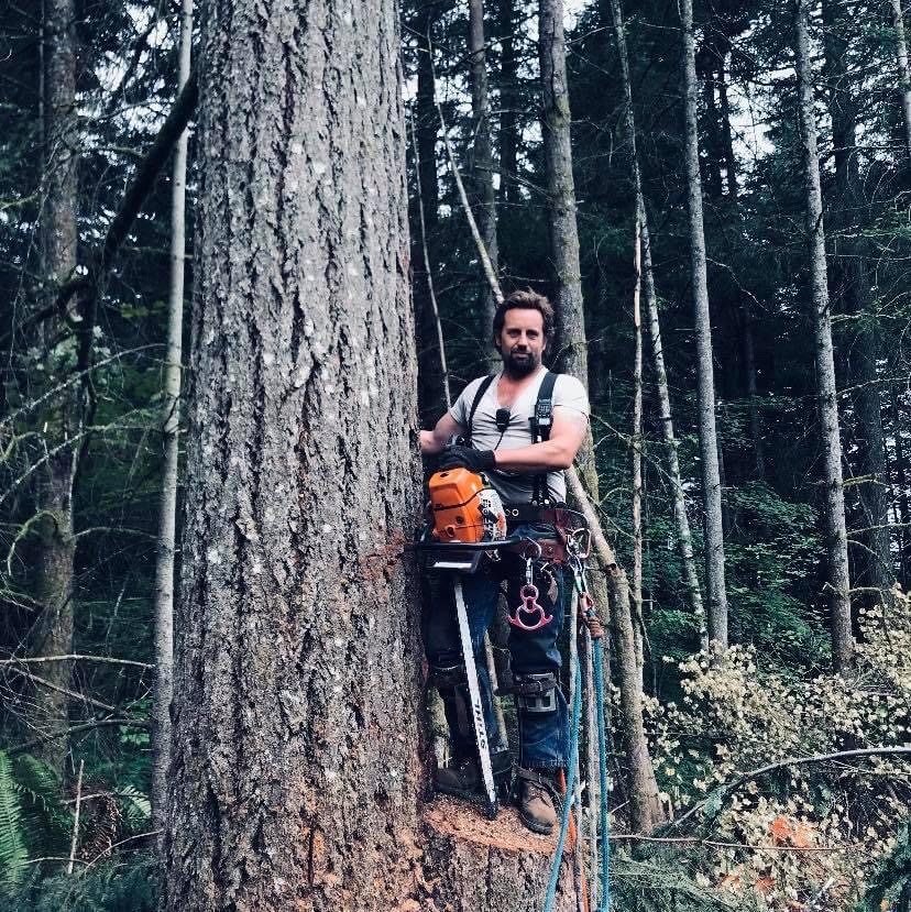 Nate's Logging LLC: Service Image-14 Nate's Logging LLC: Service Image-14