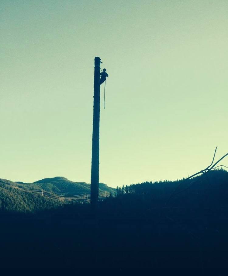 Nate's Logging LLC: Service Image-15 Nate's Logging LLC: Service Image-15