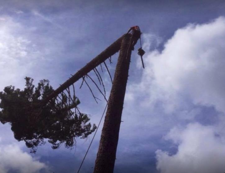 Nate's Logging LLC: Service Image-16 Nate's Logging LLC: Service Image-16