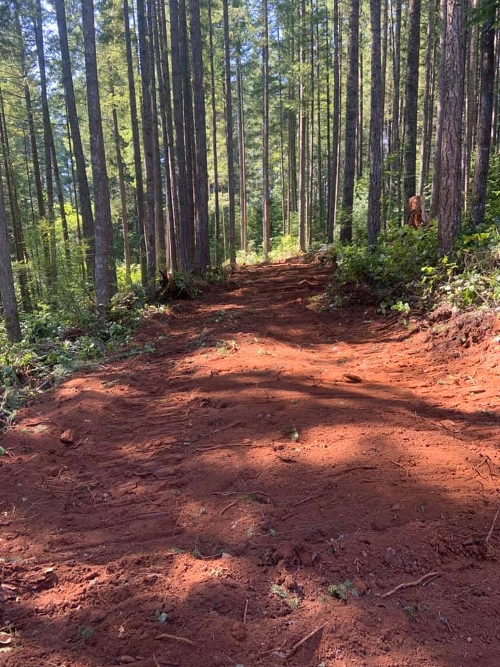 Nate's Logging LLC: Service Image-17 Nate's Logging LLC: Service Image-17