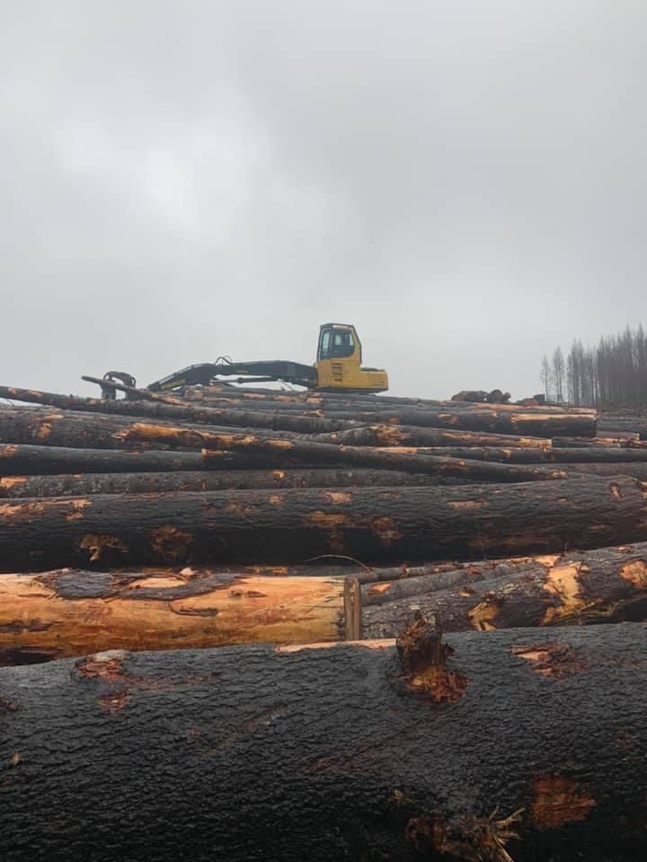 Nate's Logging LLC: Service Image-17 Nate's Logging LLC: Service Image-17