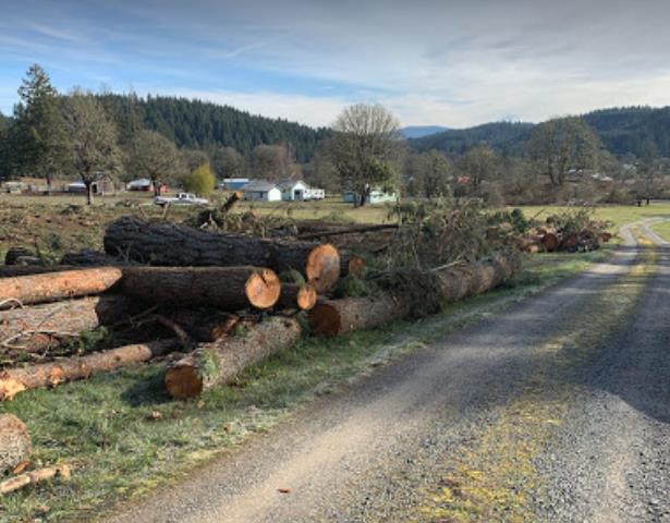 Nate's Logging LLC: Service Image-18 Nate's Logging LLC: Service Image-18