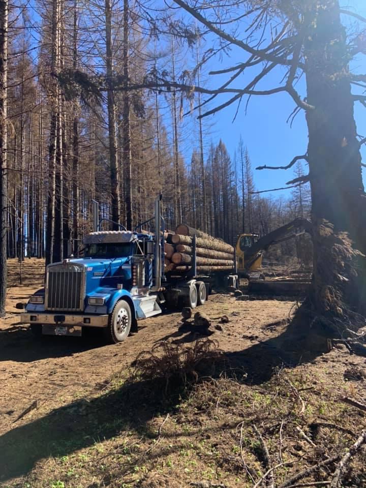 Nate's Logging LLC: Service Image-19 Nate's Logging LLC: Service Image-19