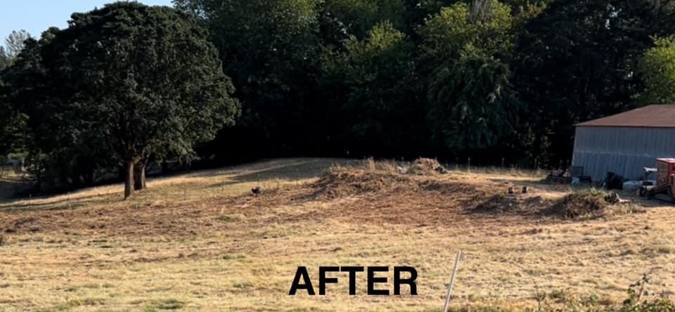 Nate's Logging LLC: Service Image-2 Nate's Logging LLC: Service Image-2