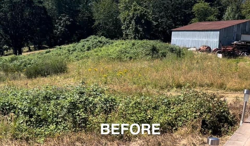 Nate's Logging LLC: Service Image-3