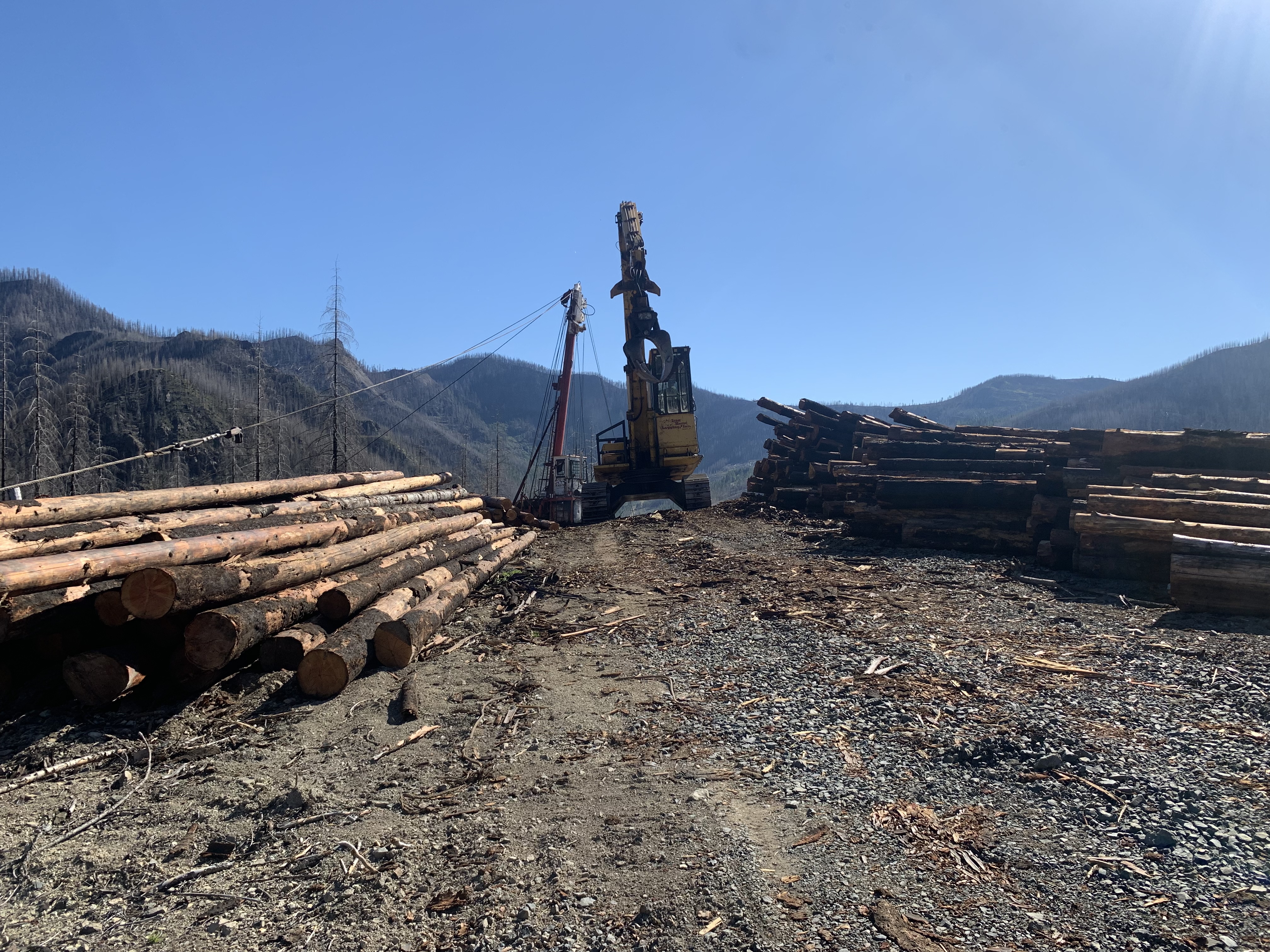 Nate's Logging LLC: Service Image-3 Nate's Logging LLC: Service Image-3