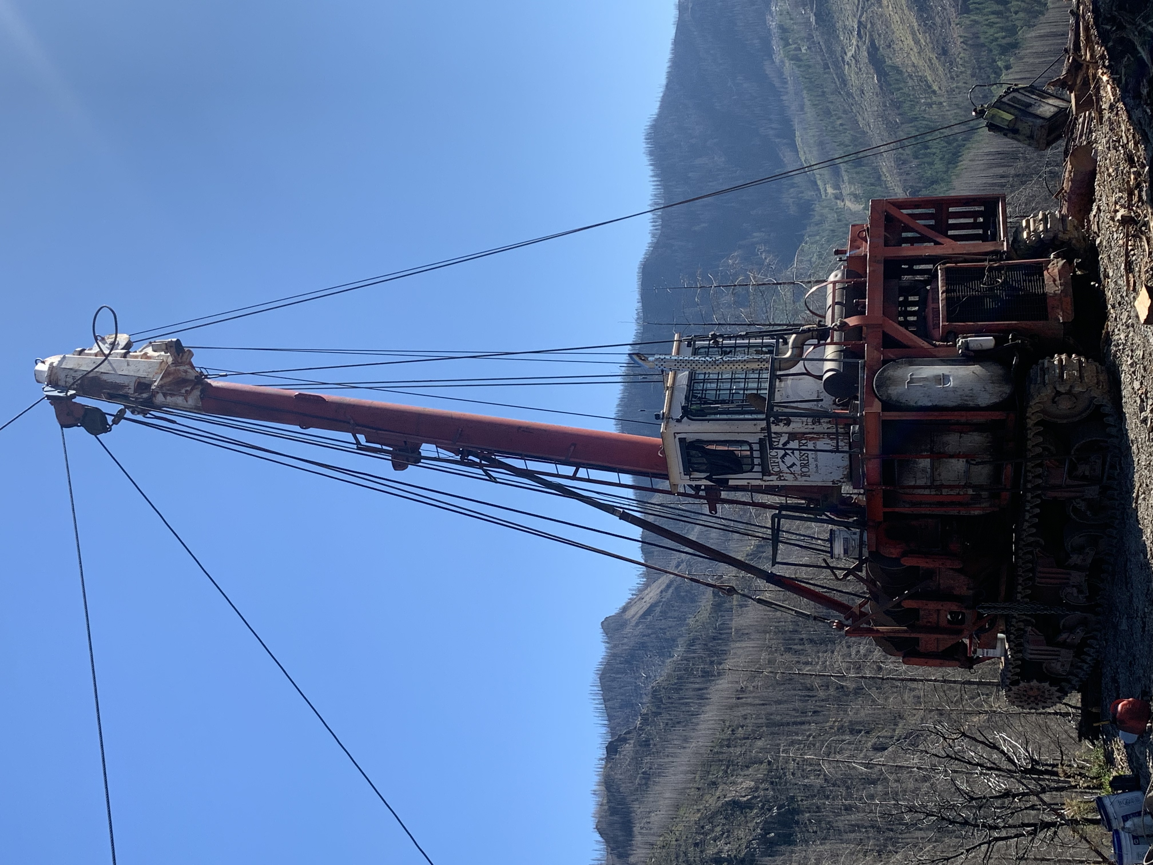 Nate's Logging LLC: Service Image-6