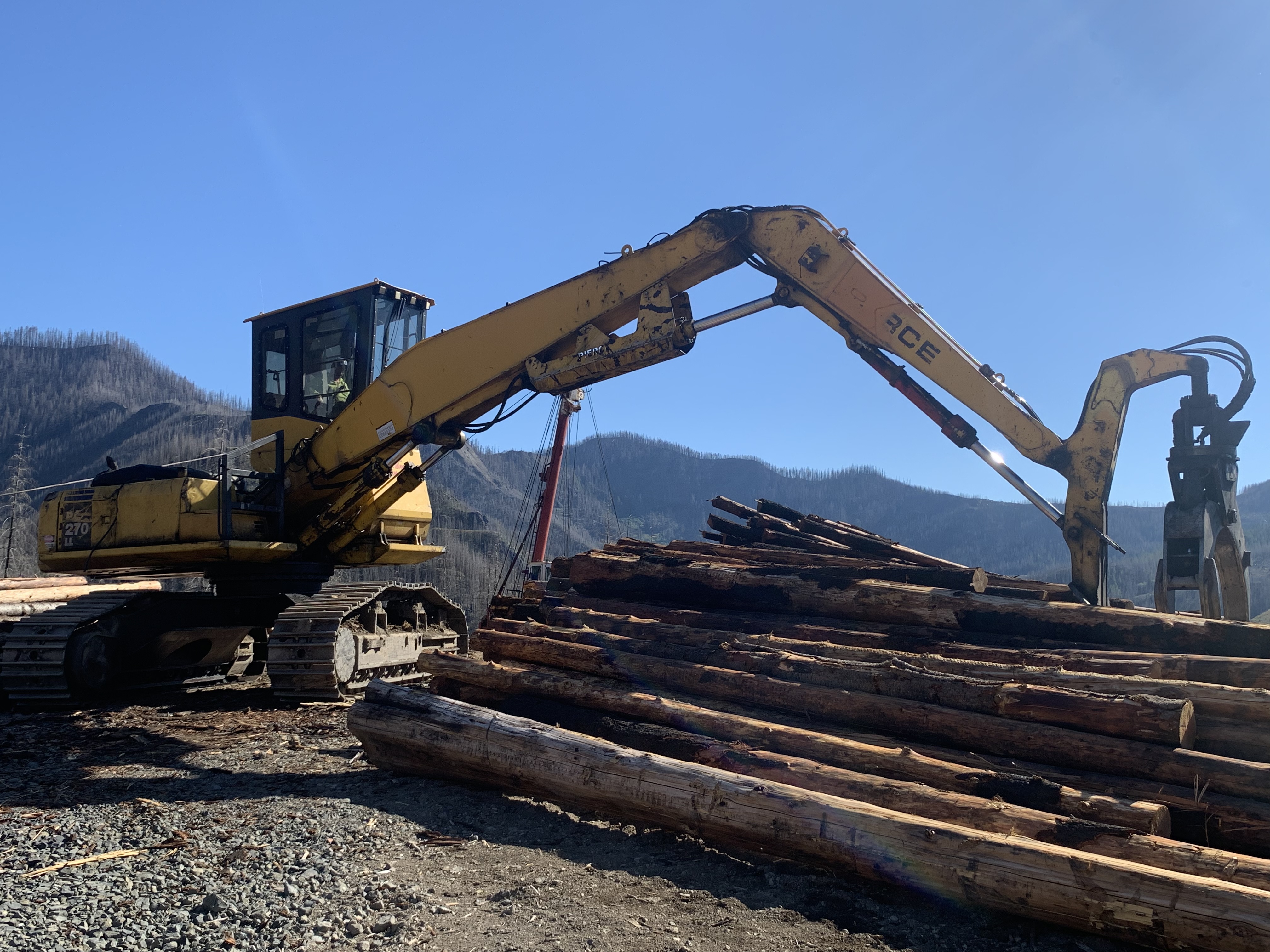 Nate's Logging LLC: Service Image-0 Nate's Logging LLC: Service Image-0